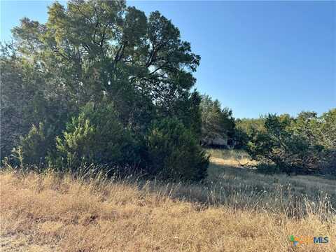 1075 Deer Valley Pass, Spring Branch, TX 78070