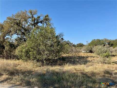 660 Horseshoe Track, Spring Branch, TX 78070