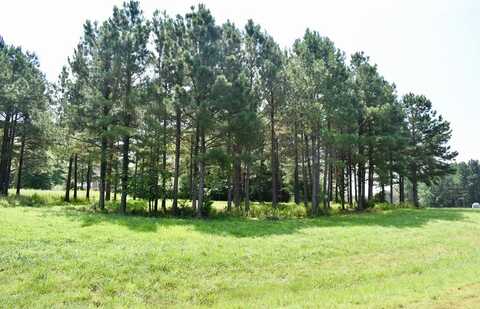 Lot 3 Woodlawn Drive, Clarksville, VA 23927