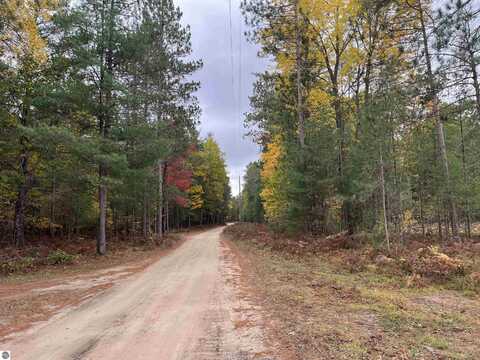 Twin Trail, South Boardman, MI 49680