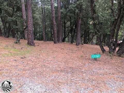 12301 Tower Peak, Groveland, CA 95321