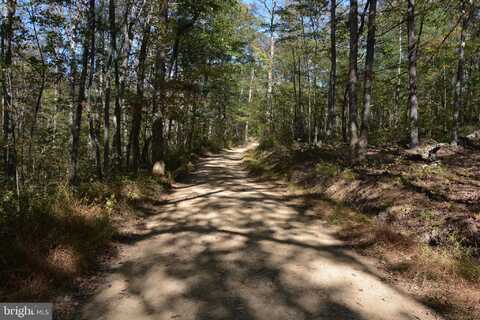 33+ ACRES QUAIL RUN LANE, WINCHESTER, VA 22602