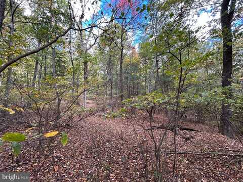 SUPINLICK RIDGE, MOUNT JACKSON, VA 22842