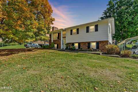 202 Norwood Drive, Bristol, VA 24201