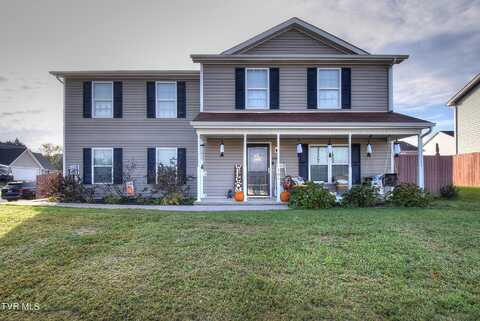 101 Violet Lane, Bluff City, TN 37618