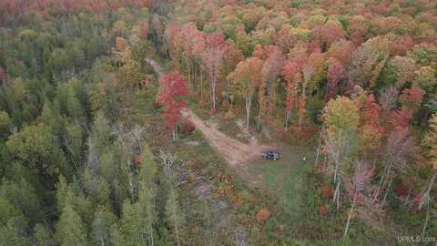 120 Acres Off County Road 327, Rumely, MI 49826