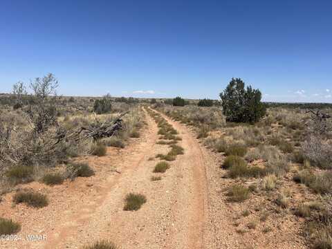 Tbd Six Mile Draw Road, Snowflake, AZ 85937