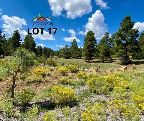 Lot 17 Red Cabin Ranch, Vernon, AZ 85940