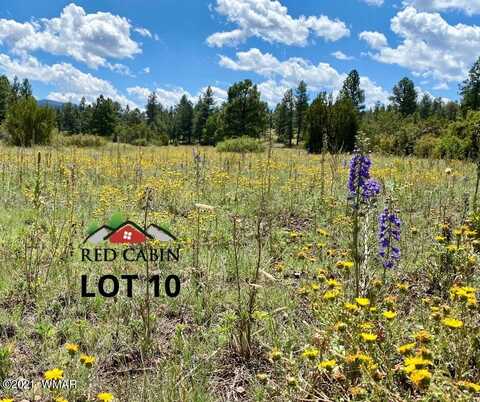 Lot 10 Red Cabin Ranch, Vernon, AZ 85940