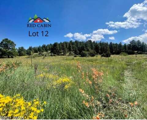 Lot 12 Red Cabin Ranch, Vernon, AZ 85940