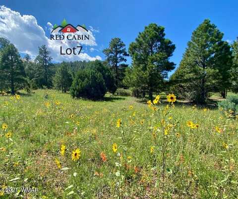 Lot 7 Red Cabin Ranch, Vernon, AZ 85940