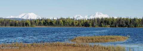 Tr E No Road, Trapper Creek, AK 99683