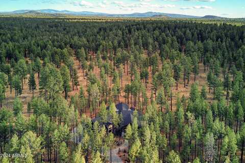 9525 SIERRA SPRINGS Drive, Pinetop, AZ 85935