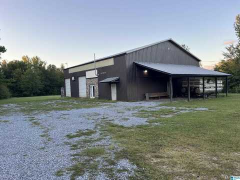 119 LOWER BON AIR ROAD, SYLACAUGA, AL 35150