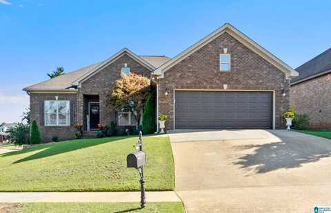 556 SHELBY CIRCLE, TUSCALOOSA, AL 35405