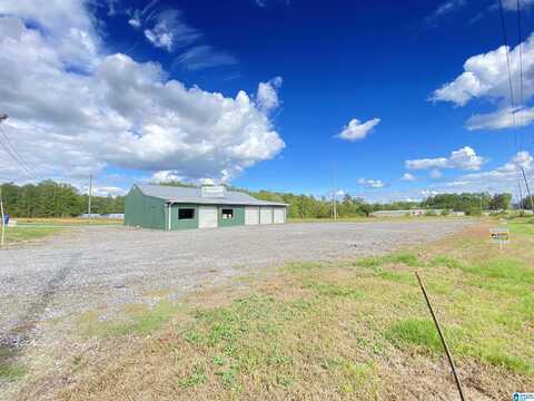 100 FANT DRIVE, ASHVILLE, AL 35953