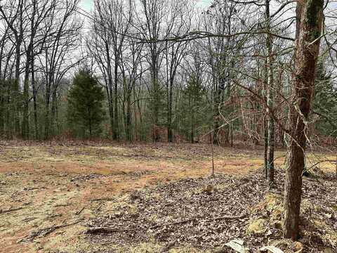 Lot 2 Raby Road, Harrisburg, AR 72432