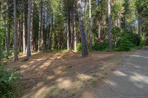 2649 Hangtree Trail, Dorrington, CA 95223