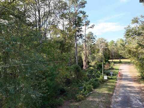 Pinetree Lane, Leesville, SC 29070