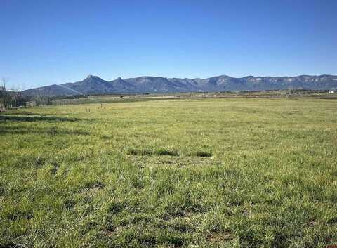 TBD Road N.2 Lot 2, Mancos, CO 81328