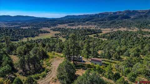 5600 C County Road 700, Pagosa Springs, CO 81147