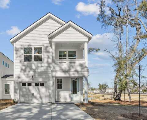 299 Claret Cup Way, Charleston, SC 29414