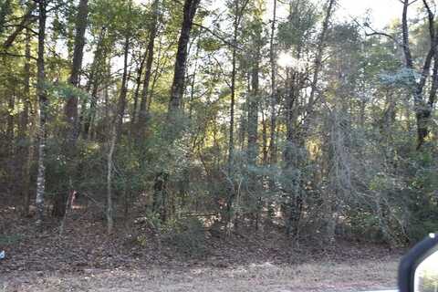 Lot 7 County Road 156, Enterprise, AL 36330