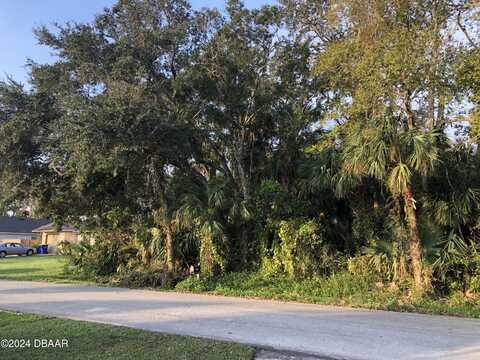 0 Queen Palm Drive, Edgewater, FL 32141