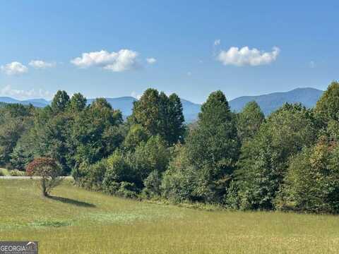Lot 51 The Preserve at Crooked Creek, Young Harris, GA 30582