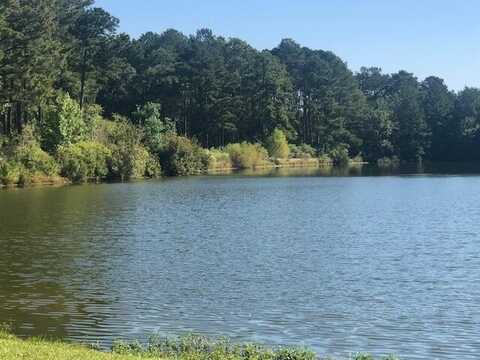 000 Edge Water Point, Hattiesburg, MS 39402