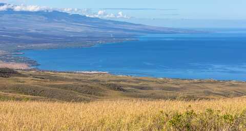 undefined, Kamuela, HI 96743