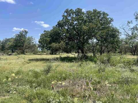 Tbd FM 1980- 32.09 ac, Marble Falls, TX 78654