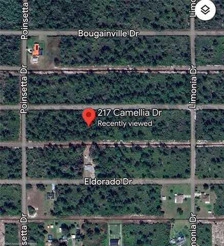 217 Camellia Drive, Indian Lake Estates, FL 33855