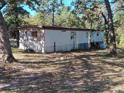 1230 Hickory Dr, Harleton, TX 75651