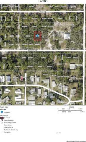 Lot 266 BROOKSIDE CIRCLE, MOUNT DORA, FL 32757