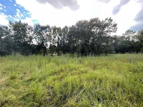 17380 RIVERSTONE DRIVE, LUTZ, FL 33558