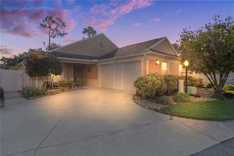 3930 E TORCH LAKE DRIVE, THE VILLAGES, FL 32163