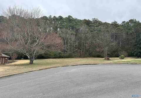 Lot 8a Brownwood Lane, Guntersville, AL 35976