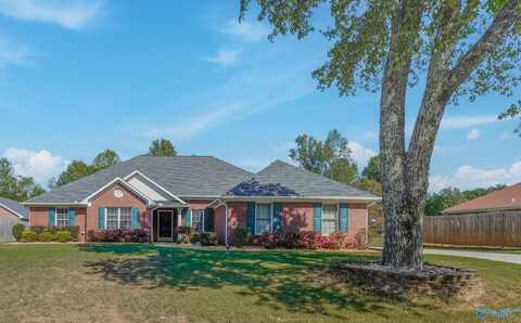 271 Vine Cliff Drive, Harvest, AL 35749