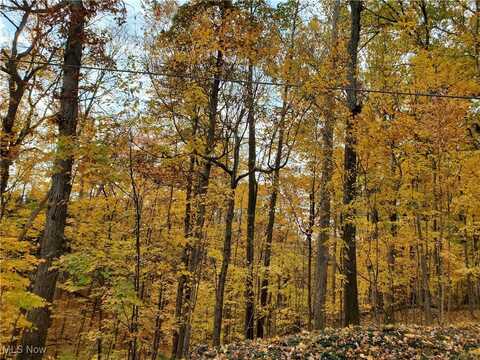 Township Rd 444, Warsaw, OH 43844