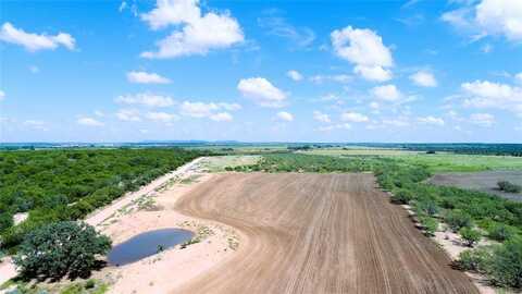 Tbd CR 256, Coleman, TX 76834