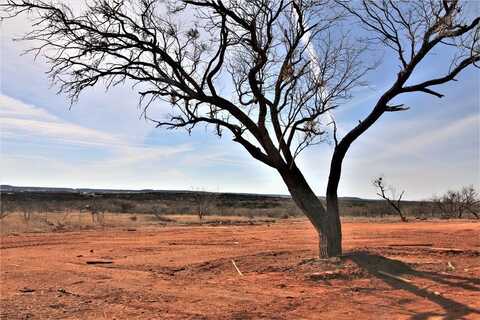 Lot 4 Marshal Trail, Tuscola, TX 79562