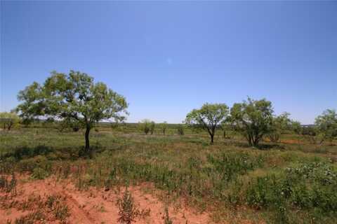 Lot 6 Marshal Trail, Tuscola, TX 79562