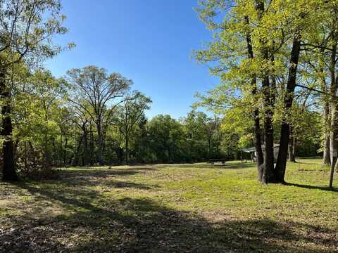 1 Hobbs Hollow Road, Shell Knob, MO 65747