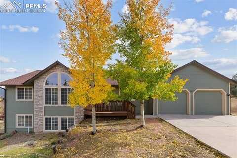 811 Red Eagle Court, Woodland Park, CO 80863