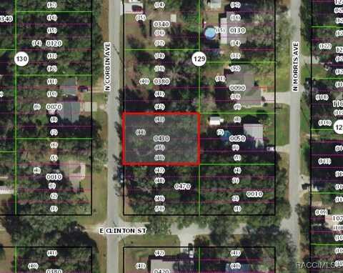 619 N Corbin Avenue, Inverness, FL 34453