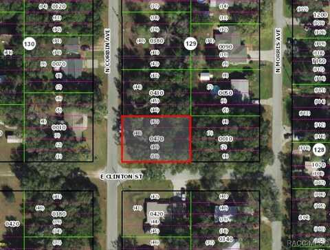 605 N Corbin Avenue, Inverness, FL 34453