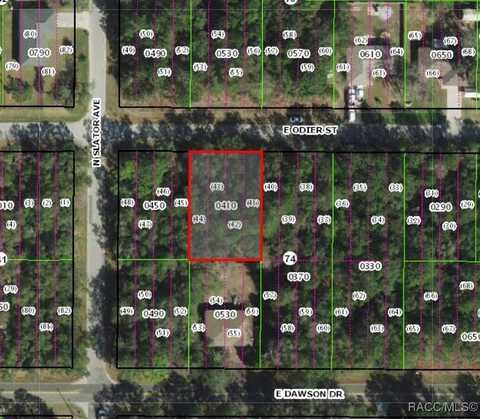 3206 E Odier Street, Inverness, FL 34453