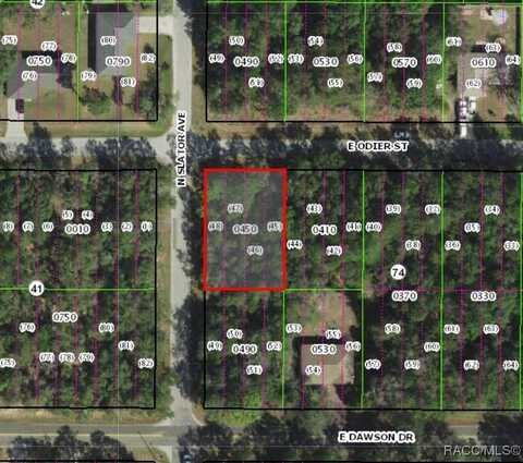 3182 E Odier Street, Inverness, FL 34453