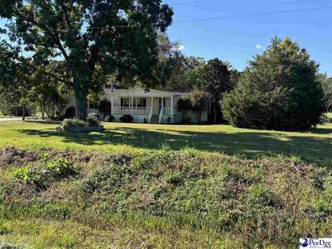 4163 Clarence Coker Highway, Turbeville, SC 29162